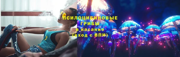 дживик Баксан