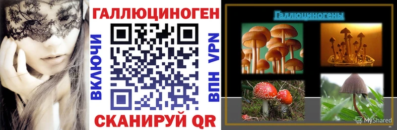 kraken зеркало  где можно купить наркотик  shop телеграм  Галлюциногенные грибы Psilocybine cubensis  Циолковский 